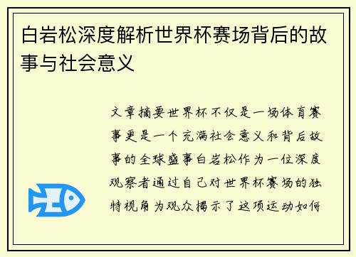白岩松深度解析世界杯赛场背后的故事与社会意义